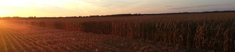 Kyler Laird's cover banner