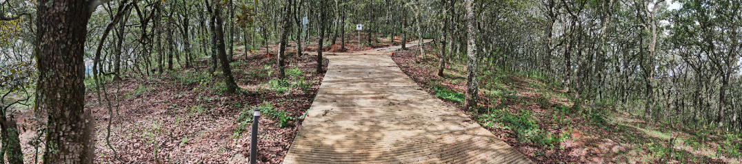 La Cucursola Guanajuato's cover banner