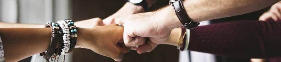 Lani Langton's cover banner