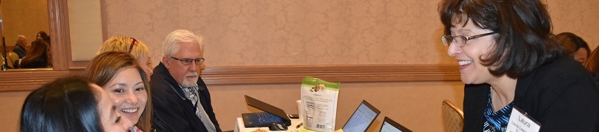 Laura Lewis-Barr's cover banner