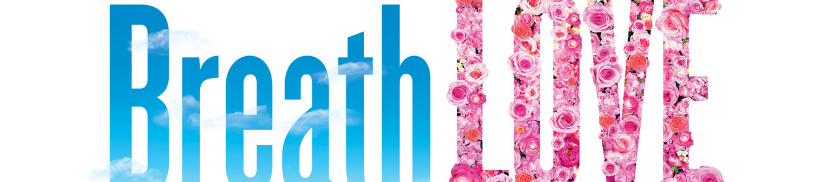 Lauren Chelec Cafritz's cover banner