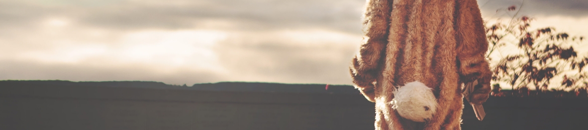 Lena Glazkova's cover banner