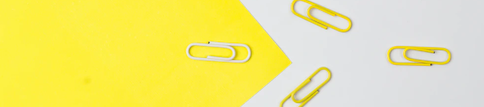 Lesley Vos's cover banner