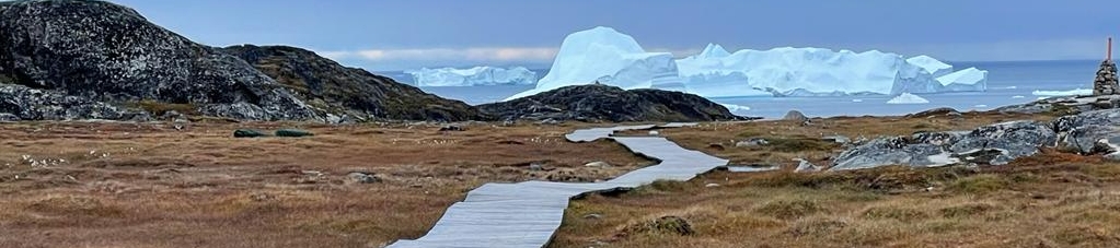 Leslie Johnston's cover banner