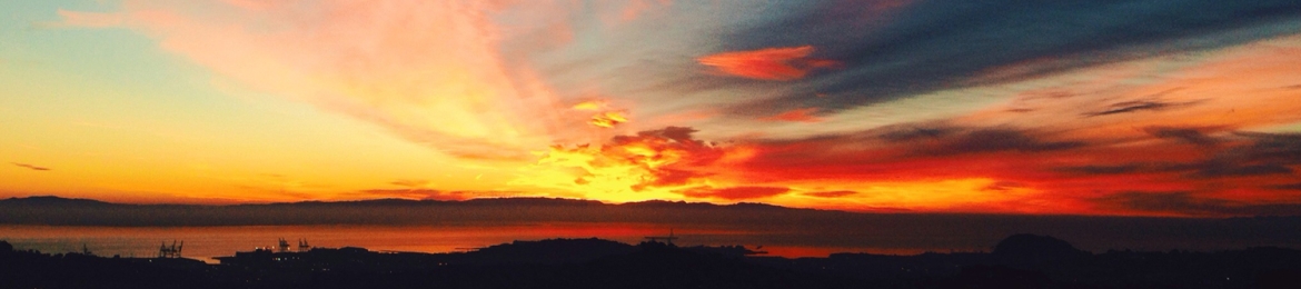 Lisa Billingham's cover banner