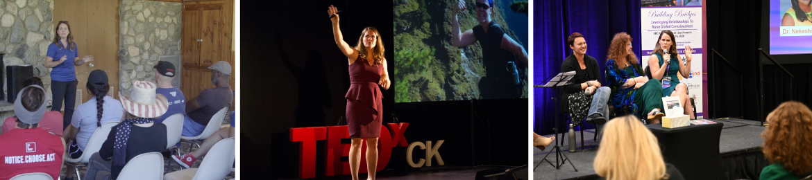 Lisa Dadd's cover banner