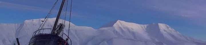 Lungi Mchunu's cover banner