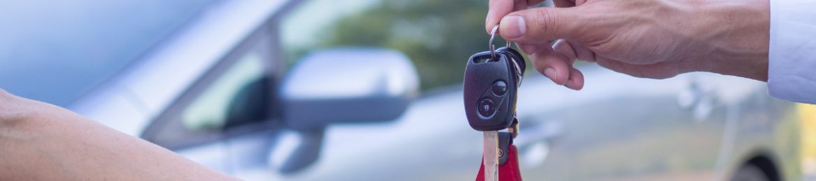 Madison Collins's cover banner