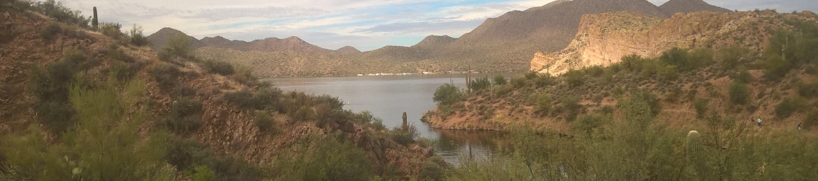 Marcus King's cover banner