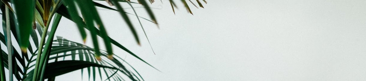 Mariana Trigo's cover banner