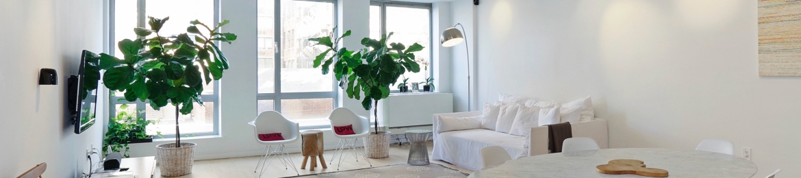 Marianne Gordon's cover banner