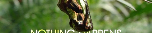 MA ALEXANDER's cover banner