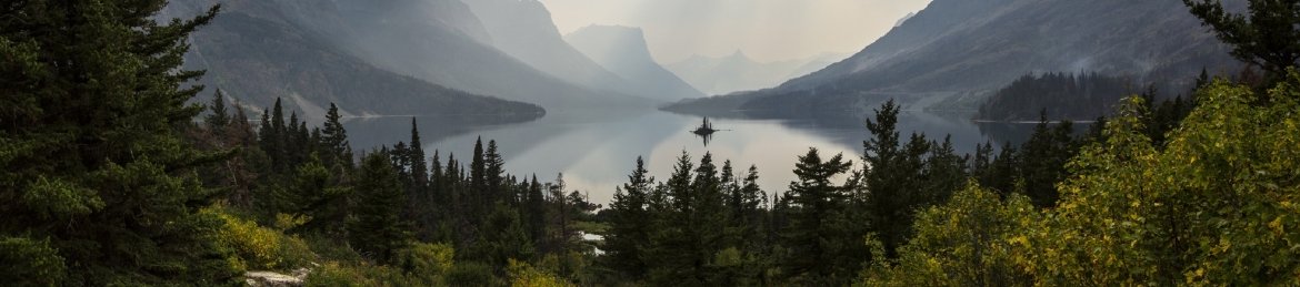 Mark Adkins's cover banner