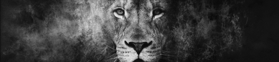 MARQUISE T AND WILSON's cover banner