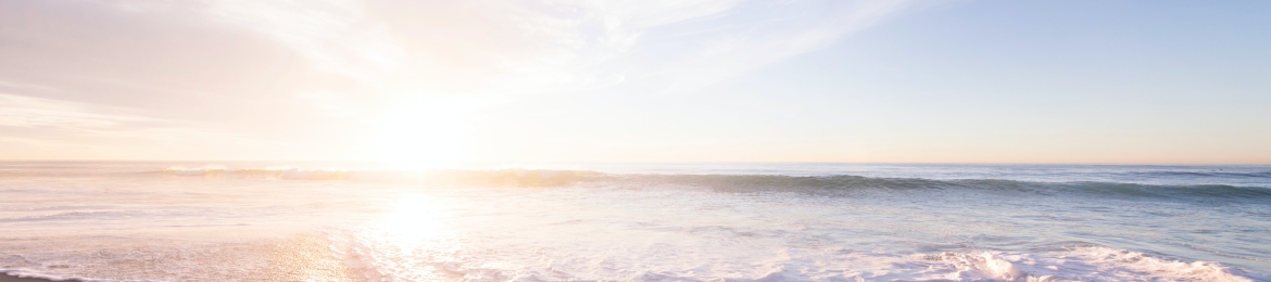 Marty Wolner's cover banner