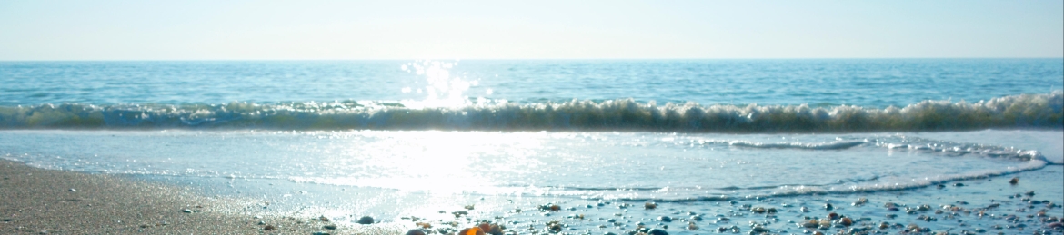 Mary Ann Baynton's cover banner