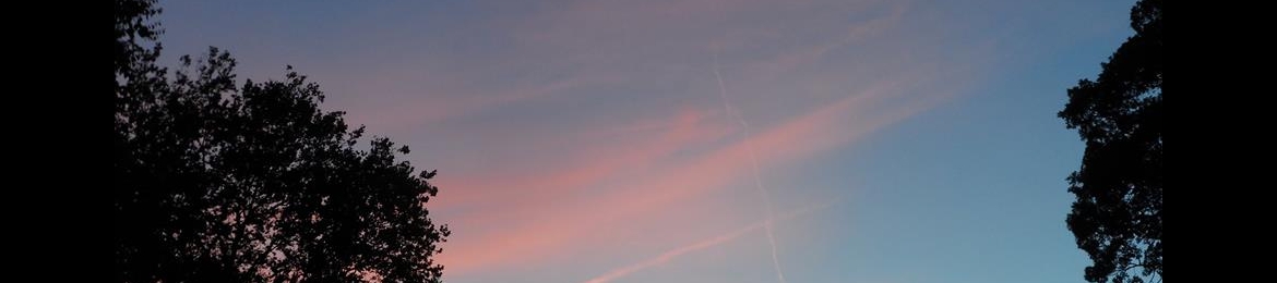 Maryanne Christiano-Mistretta's cover banner