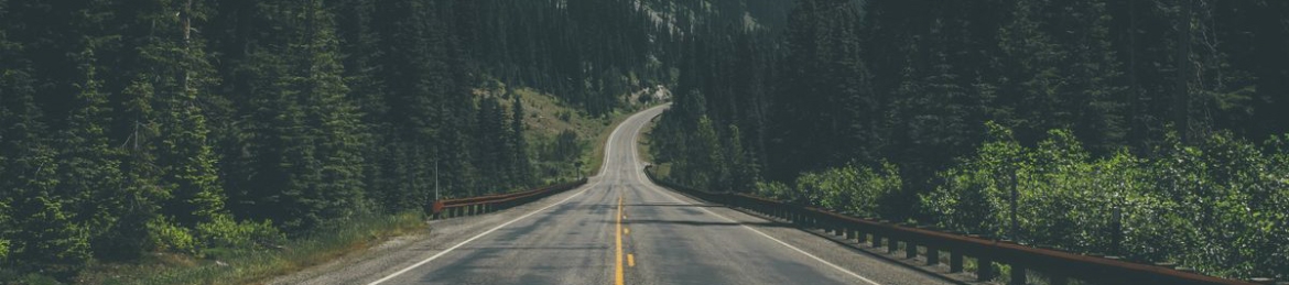 Matt Stokes's cover banner