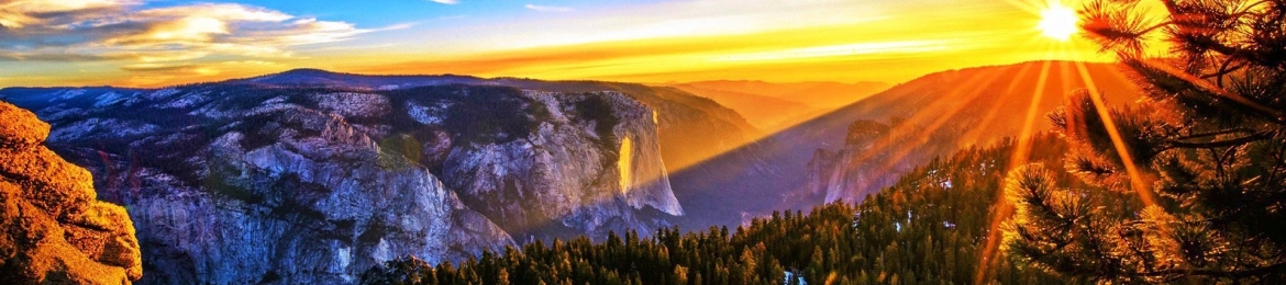 Meg Warren's cover banner