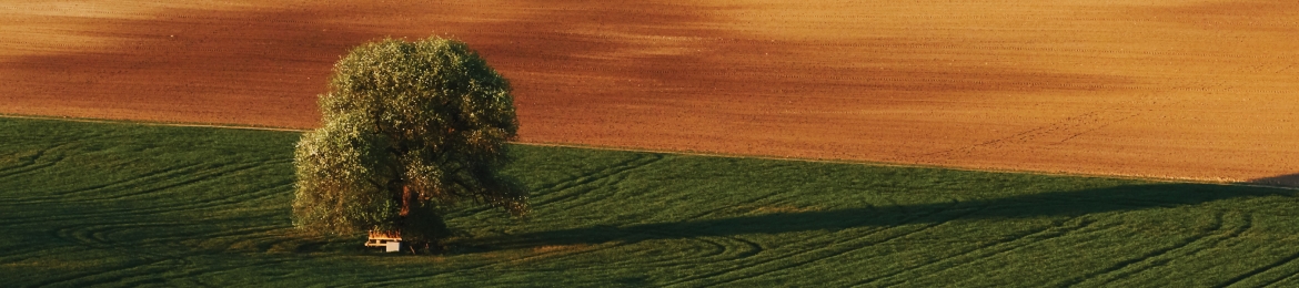 Megan McGregor's cover banner