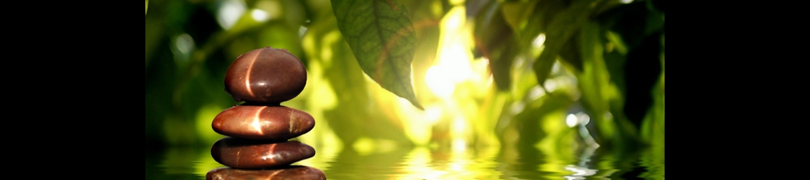 Melanie Legend's cover banner