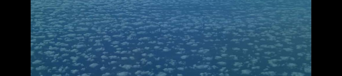 Michael F McDougall's cover banner