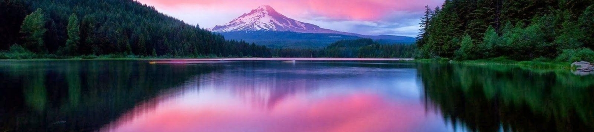 Michael Lerman Tampa's cover banner