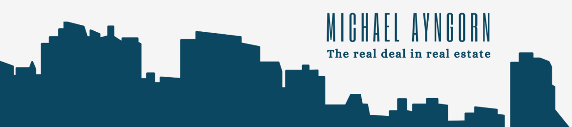 Michael Ayngorn's cover banner