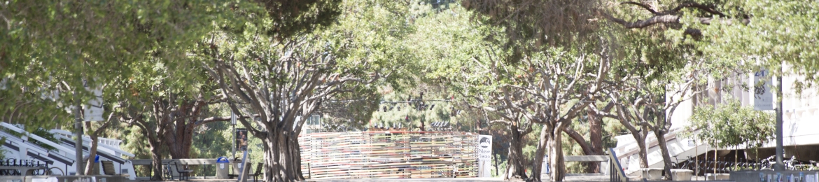 Michael Dennin's cover banner