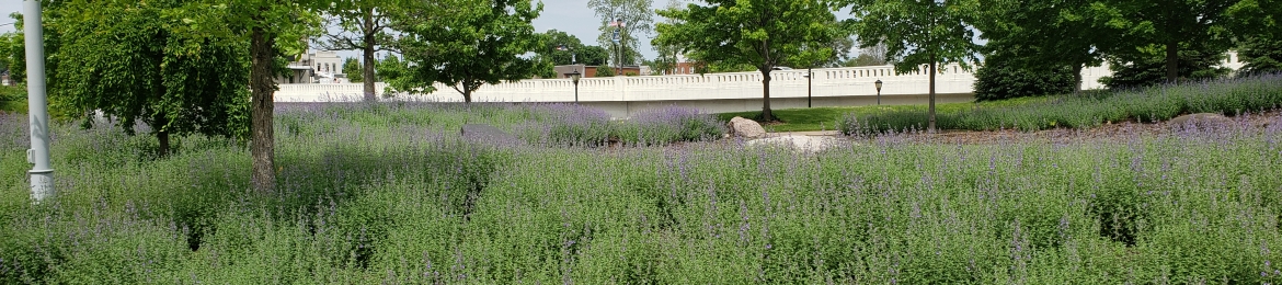 Michael Fugate's cover banner