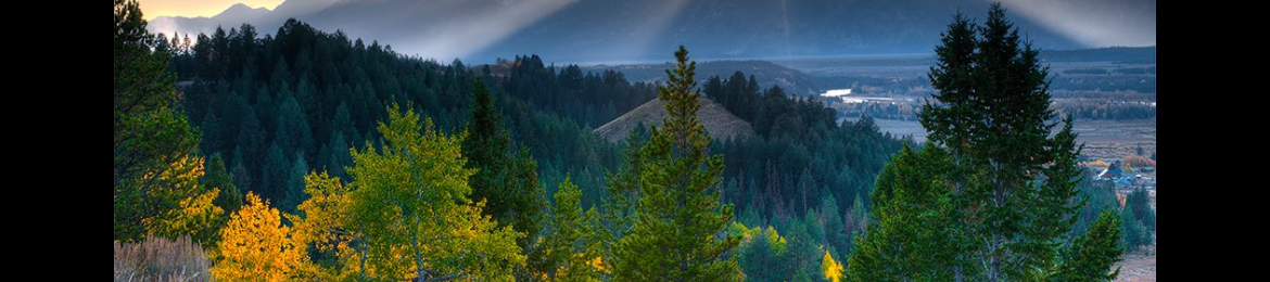 Michael Hart's cover banner