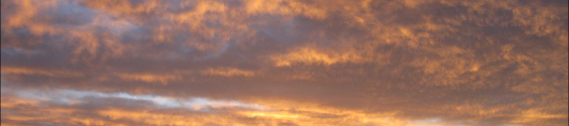 Michael Wallick's cover banner