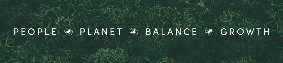 Michelle Miller's cover banner