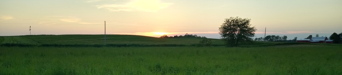 Mike Mosier's cover banner