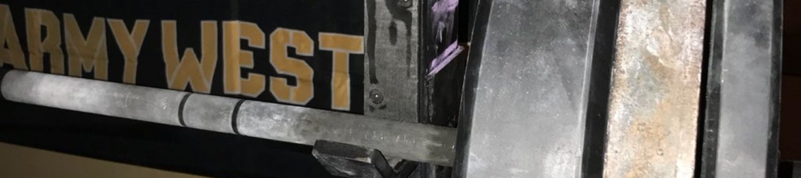 Mike Schiavone's cover banner