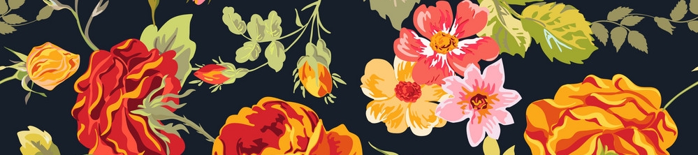 Mimi Hayes's cover banner