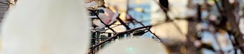 Misch Felix's cover banner