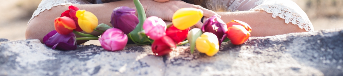 Monica Tanner's cover banner