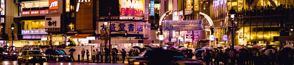 Moshe S Newhouse's cover banner