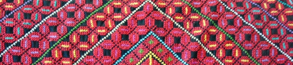 Nadia Sayeh's cover banner