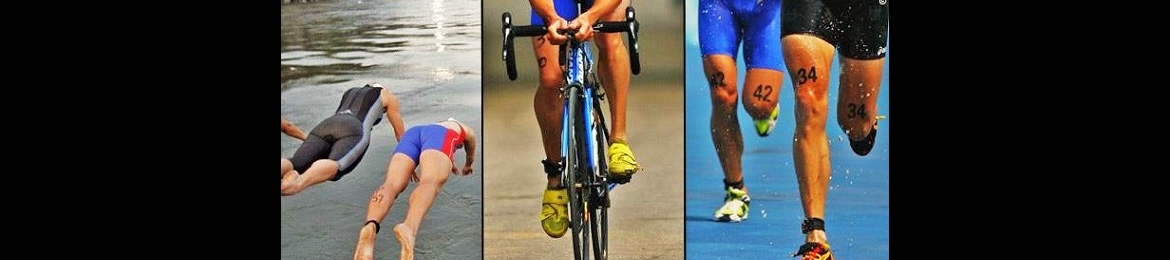 Nancy Gunter, MS, SPHR, SHRM-SCP's cover banner