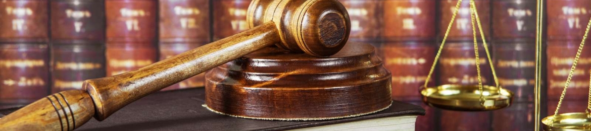 Naomi E Soldon's cover banner