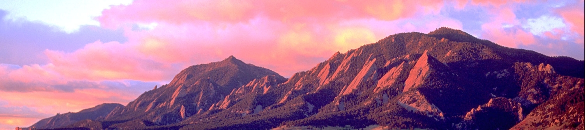 Naomi Hoshino Horii's cover banner