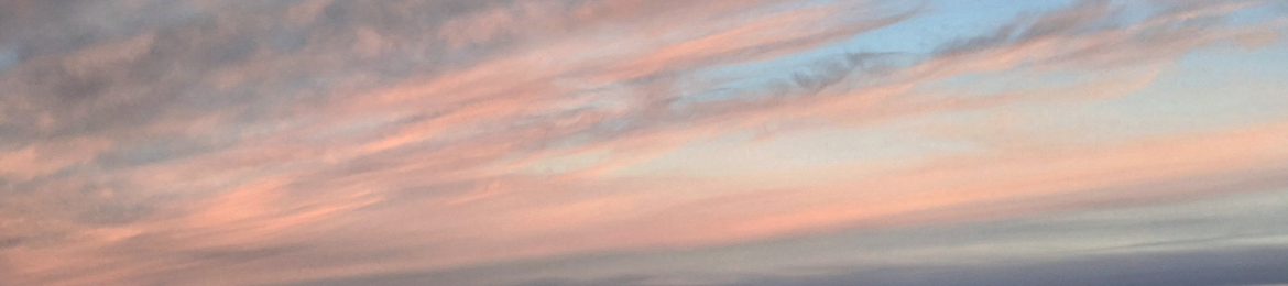 Nick Wood's cover banner