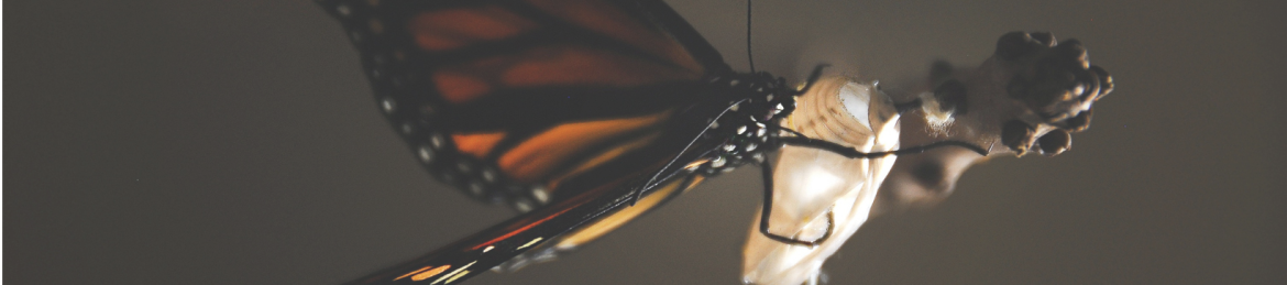 Nobulumko Xhantini's cover banner