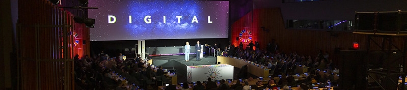 Nora Chaynane's cover banner