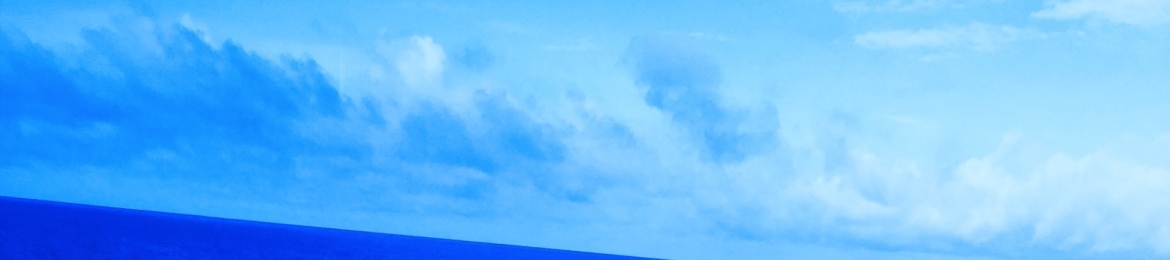 Nyla Ray's cover banner