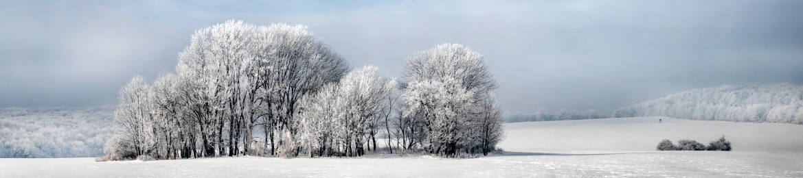 Oliver Portwood's cover banner