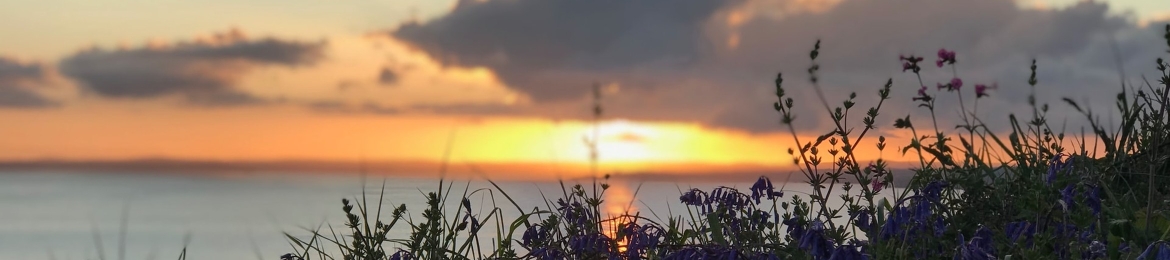 Owen Baker's cover banner