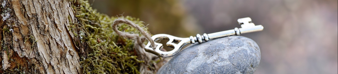 Pamela Borawski's cover banner